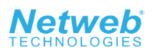 NETWEB TECHNOLOGIES INDIA IPO